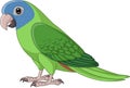 Cartoon Blue Crown Conure Parrot Royalty Free Stock Photo