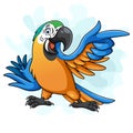 Cartoon blue macaw bird pointing Royalty Free Stock Photo