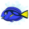 Cartoon blue tang fish on white background Royalty Free Stock Photo