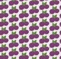 Cartoon blueberries pattern