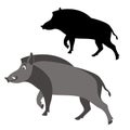 Cartoon boar wild vector illustration flat style profile