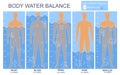 Cartoon Body and Water Chart Infographics Card Poster. Vector