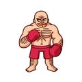 Cartoon boxer illustration