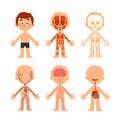 Cartoon boy body anatomy. Human biology systems anatomical chart. Skeleton, veins system and organs vector illustration