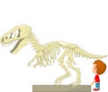 Cartoon Boy with dinosaur skeleton at the museum Royalty Free Stock Photo