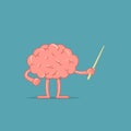 Cartoon brain holds a pointer. Isolated character of brain shows something. Concept of training.