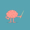 Cartoon brain holds a pointer. Isolated character of brain shows something. Concept of training. Royalty Free Stock Photo