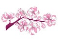 Cartoon branch of cherry blossoms. Illustration of a sakura branch with flowers. Logo. Picture of the symbol of spring.