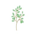 Cartoon branch with green foliage on white background.