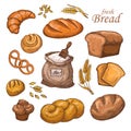 Cartoon bread, fresh bakery product, flour, ears of wheat. Hand drawn vector set isolated on white background Royalty Free Stock Photo