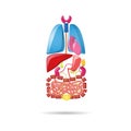 Cartoon bright internal organs. Lungs, heart, kidneys, liver, intestines, bladder, pancreas and gall bladder.