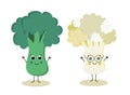 Cartoon broccoli and cauliflower Royalty Free Stock Photo