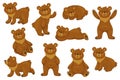 Cartoon brown bear. Funny animal in different poses, sitting lying and standing. Happy forest character, cute big comic
