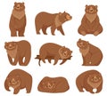 Cartoon brown bear. Grizzly bears, wild nature forest predator animals and sitting bear isolated vector illustration Royalty Free Stock Photo