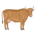 Cartoon Brown Cow. Vector Comics Style Illustration