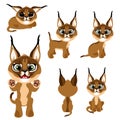 Cartoon brown kitten or lynx in different poses