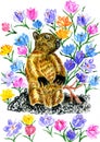 Cute Watercolor Marmot