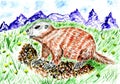 Cute Watercolor Marmot