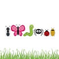 Cartoon bugs isolated on white background Royalty Free Stock Photo