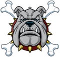 Cartoon Bulldog Mascot Head with Crossbones Royalty Free Stock Photo