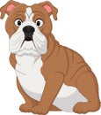 Cartoon bulldog sitting