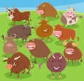 cartoon bulls farm animals comic characters group Royalty Free Stock Photo