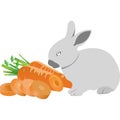 Cartoon bunny with a carrot. Rabbit eats carrots.
