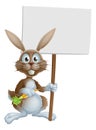 Cartoon bunny rabbit carrot and sign