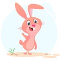 Cartoon Bunny Rabbit Character. Vector illustration Royalty Free Stock Photo