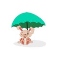 Cartoon bunny with sunshade