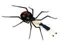 Cartoon businesswoman with black widow spider Royalty Free Stock Photo