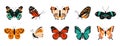 8 Cartoon butterflies. Colorful spring and summer flying insects with pattern elements on wings. Vector isolated set Royalty Free Stock Photo