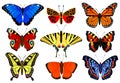 Cartoon butterflies. Flying colorful insects, spring butterfly moth insect, summer garden flying butterflies. Butterfly