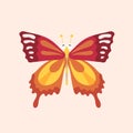 Cartoon butterfly character.