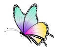 Cartoon Butterfly Clip Art