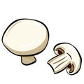 Cartoon Button Mushroom And Sliced Piece Illustration