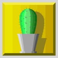 Cartoon cactus in a pot