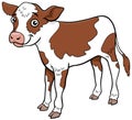 Cartoon calf farm animal comic character