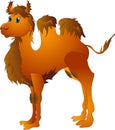 Cartoon camel Royalty Free Stock Photo