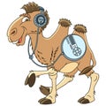 Cartoon camel animal Royalty Free Stock Photo