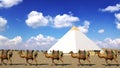 Cartoon camel caravan going through the desert, near the Great Pyramid of Khufu in ancient Egypt.