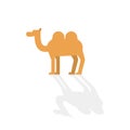 Cartoon camel in flat design style with long shadow