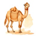 Cartoon camel in flat style isolated on white background. Camel isolated on white background, Illustration of arabian dromedary Royalty Free Stock Photo