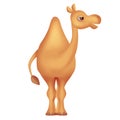 Cartoon camel isolated on white background. Cute illustration. Royalty Free Stock Photo