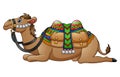 Cartoon camel with saddle Royalty Free Stock Photo