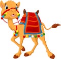 Cartoon camel with saddlery