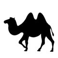 Cartoon camel vector illustration , black silhouette, profile Royalty Free Stock Photo