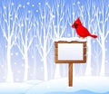 Cartoon cardinal bird on the blank sign with winter background Royalty Free Stock Photo