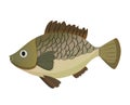 Cartoon carp fish Royalty Free Stock Photo