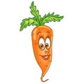 Cartoon carrot character